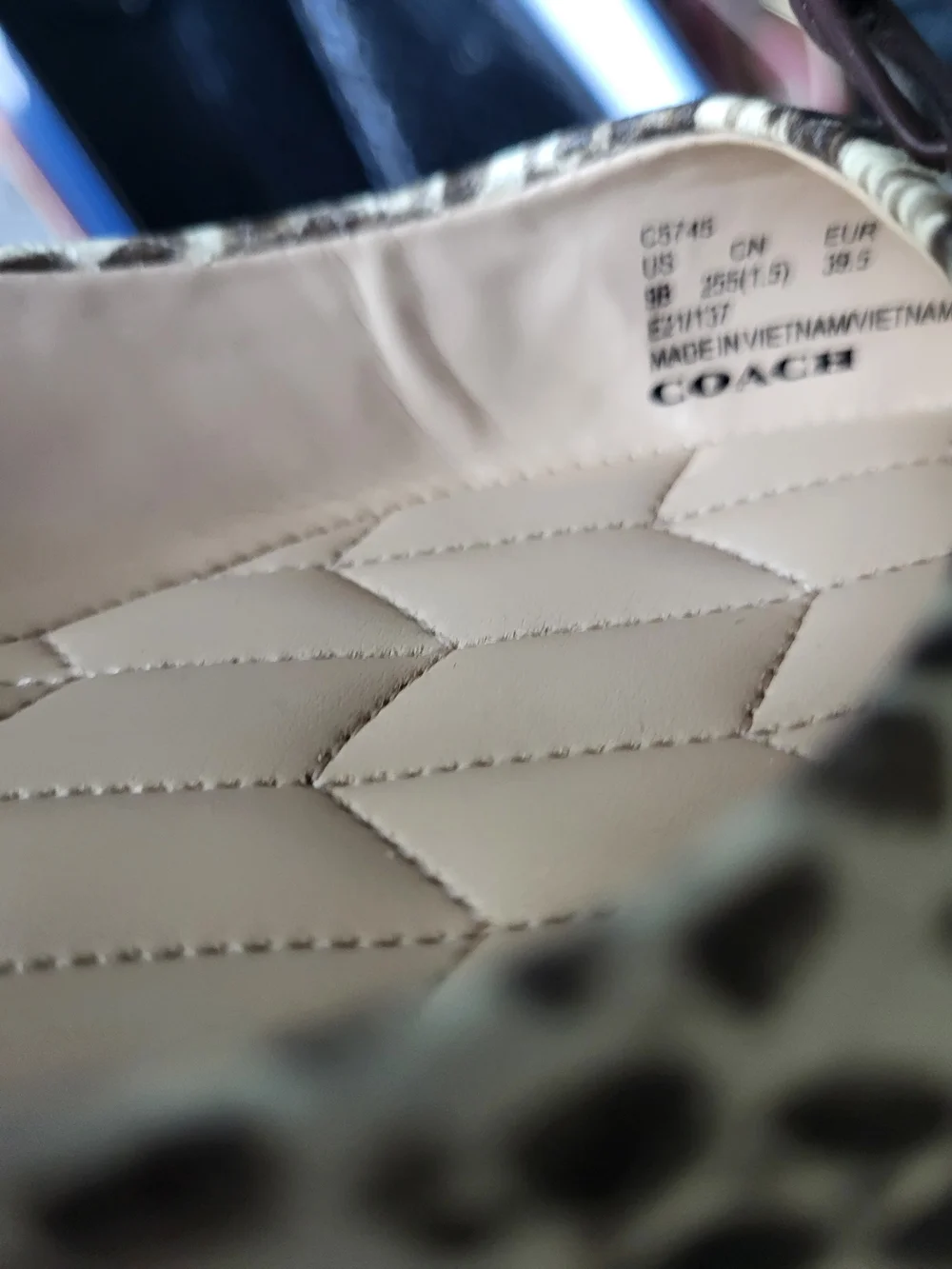Coach Snake-Print Pointed Ballet Flats in Cream and Black - Picture 7 of 7